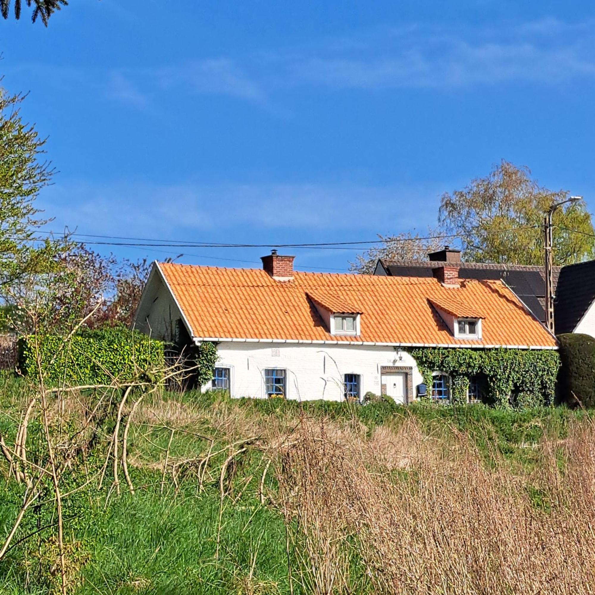 La Quitapenas Villa Ronse Buitenkant foto