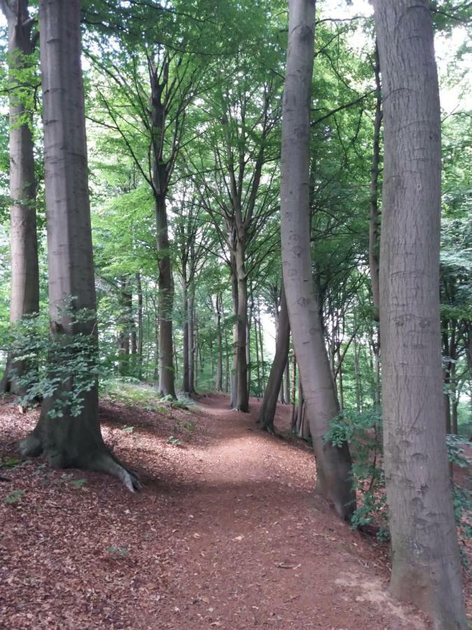 La Quitapenas Villa Ronse Buitenkant foto