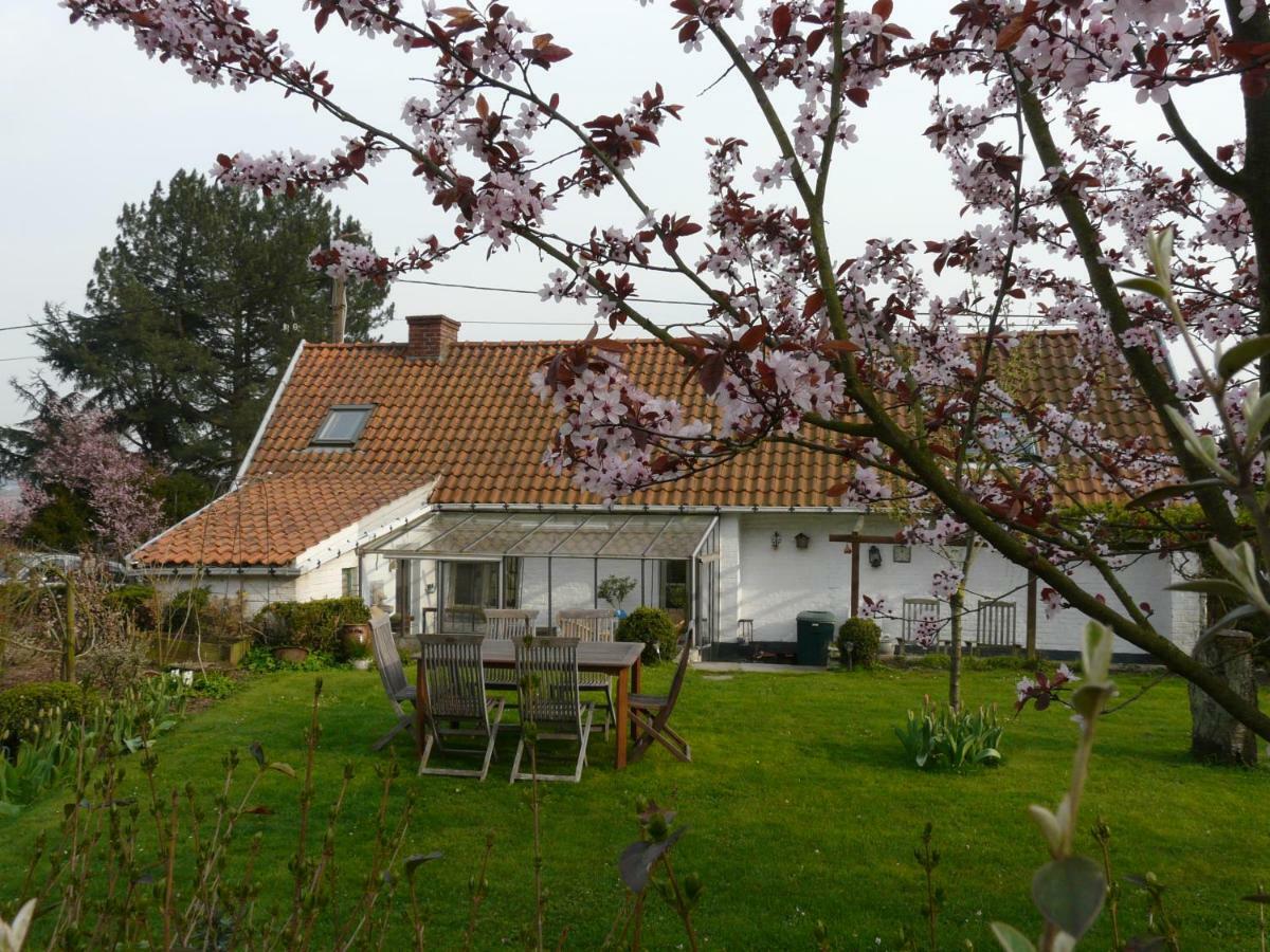 La Quitapenas Villa Ronse Buitenkant foto